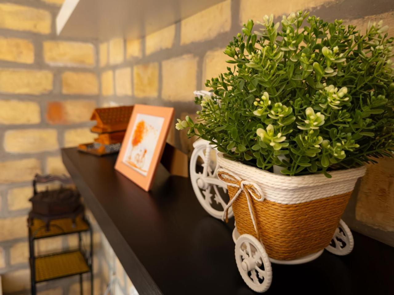 Bakina Kuca Apartment Голубац Екстериор снимка